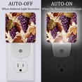 thumbnail image 2 of Thanksgiving grapes LED Square Night Lights - Energy Efficient Bedside Lamp with Soft Glow and Auto Sensor, for Bedroom, Nursery, and Hallway - 200 Characters, 2 of 6