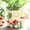 C, variant on GUGUGO Colorful Frog Garden Plant Pots, Cute Unique Succulent Planters with Drainage, Rainbow Small Mushrooms Flower Planters Pots for Indoor Plants, Funny Eclectic Home Décor (B, 5Inch)
