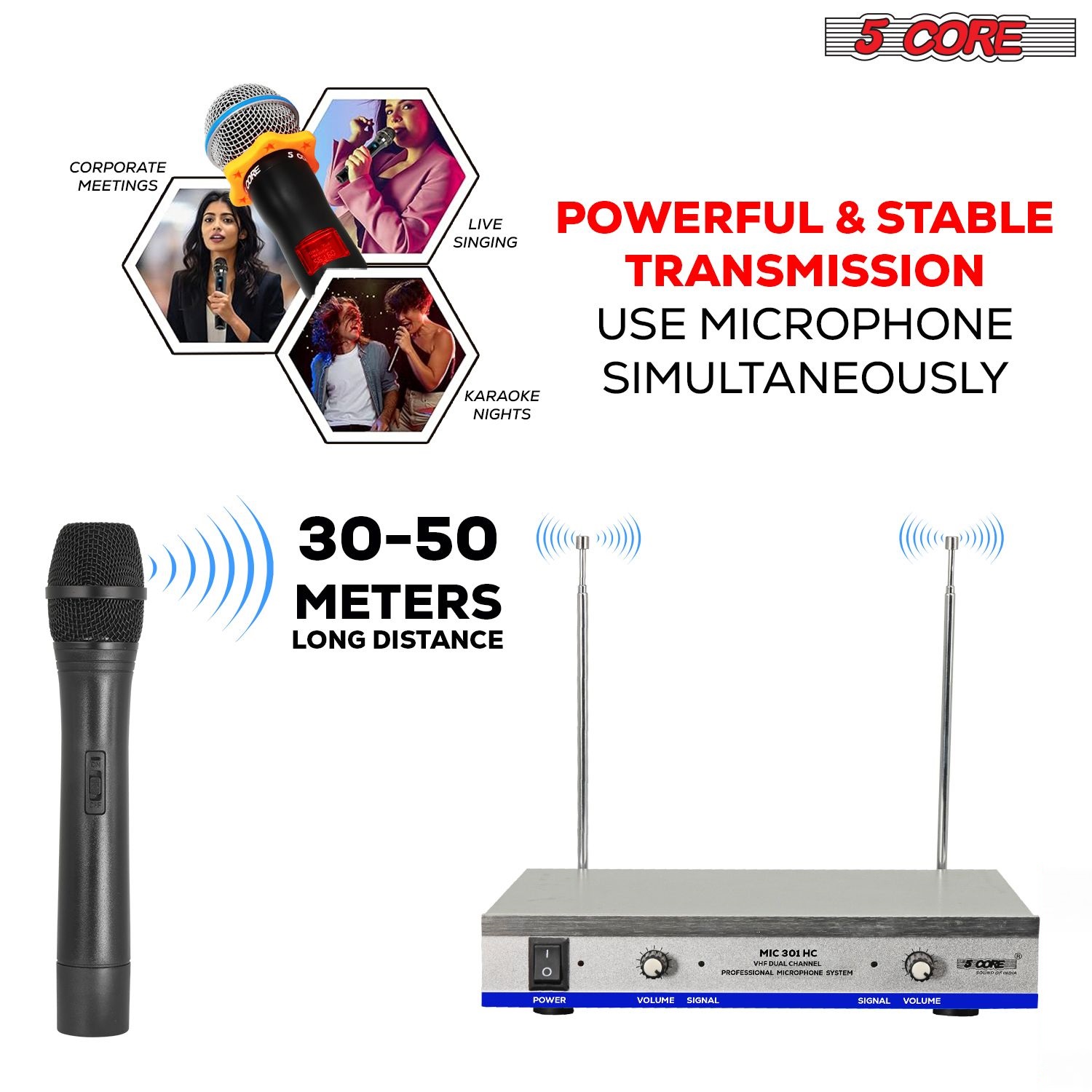 Wireless Microphone Dual Handheld Mic Cordless Receiver Dj Karaoke Singing Microphones WM 301 HC