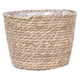thumbnail image 1 of Cesta para macetas de algas marinas, cubierta para macetas, cesta de almacenamiento, contenedores para plantas, forros de plástico tejidos a mano para interior y exterior, 1 of 7