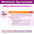thumbnail image 3 of Flash Cards Level Up RN Nursing Fundamentals 204 tarjetas, 3 of 5