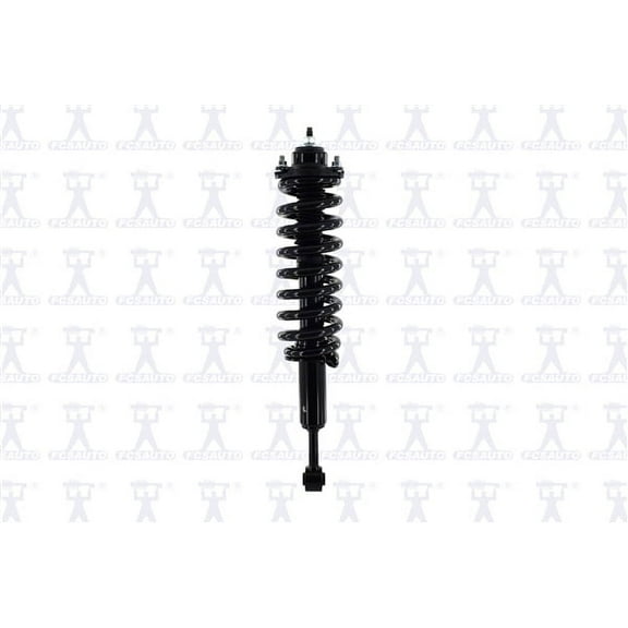 Suspension Strut and Coil Spring Assembly