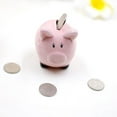 thumbnail image 2 of Alcancía de cerámica con forma de cerdito de dibujos animados, organizador de monedas pequeñas para niños pequeños (rosa), 2 of 7