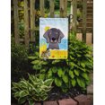 thumbnail image 2 of Carolines Treasures BB2099GF Weimaraner Été Plage Drapeau Jardin, 2 of 3