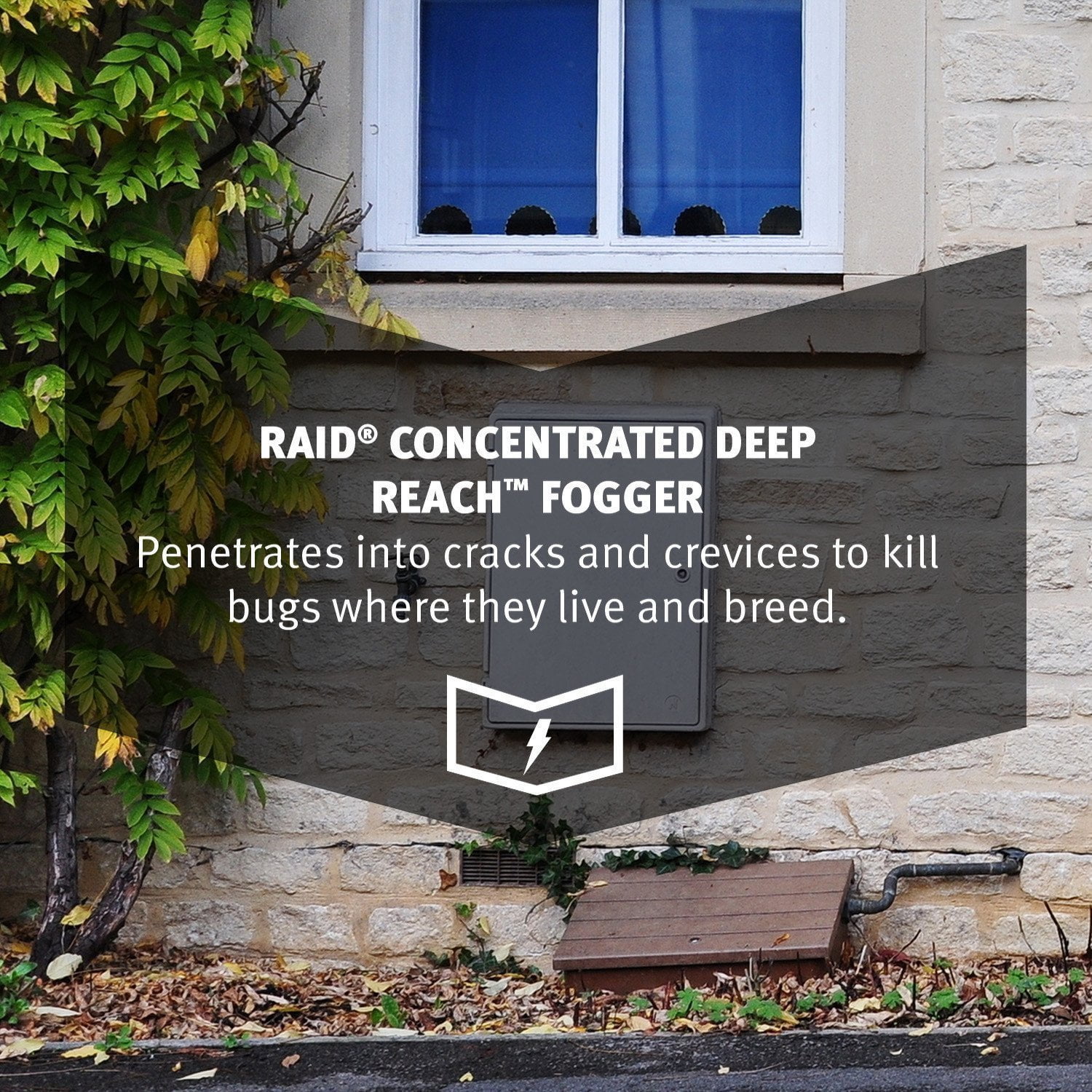 Raid Deep Reach Fogger Insecticide - Indoor Ant Killer - Pack of 3, 4.5 oz