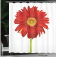 thumbnail image 4 of Ambesonne Gerber Daisy Shower Curtain, Closeup Flower Photo, 69"Wx84"L, Vermilion Apple Green, 4 of 5