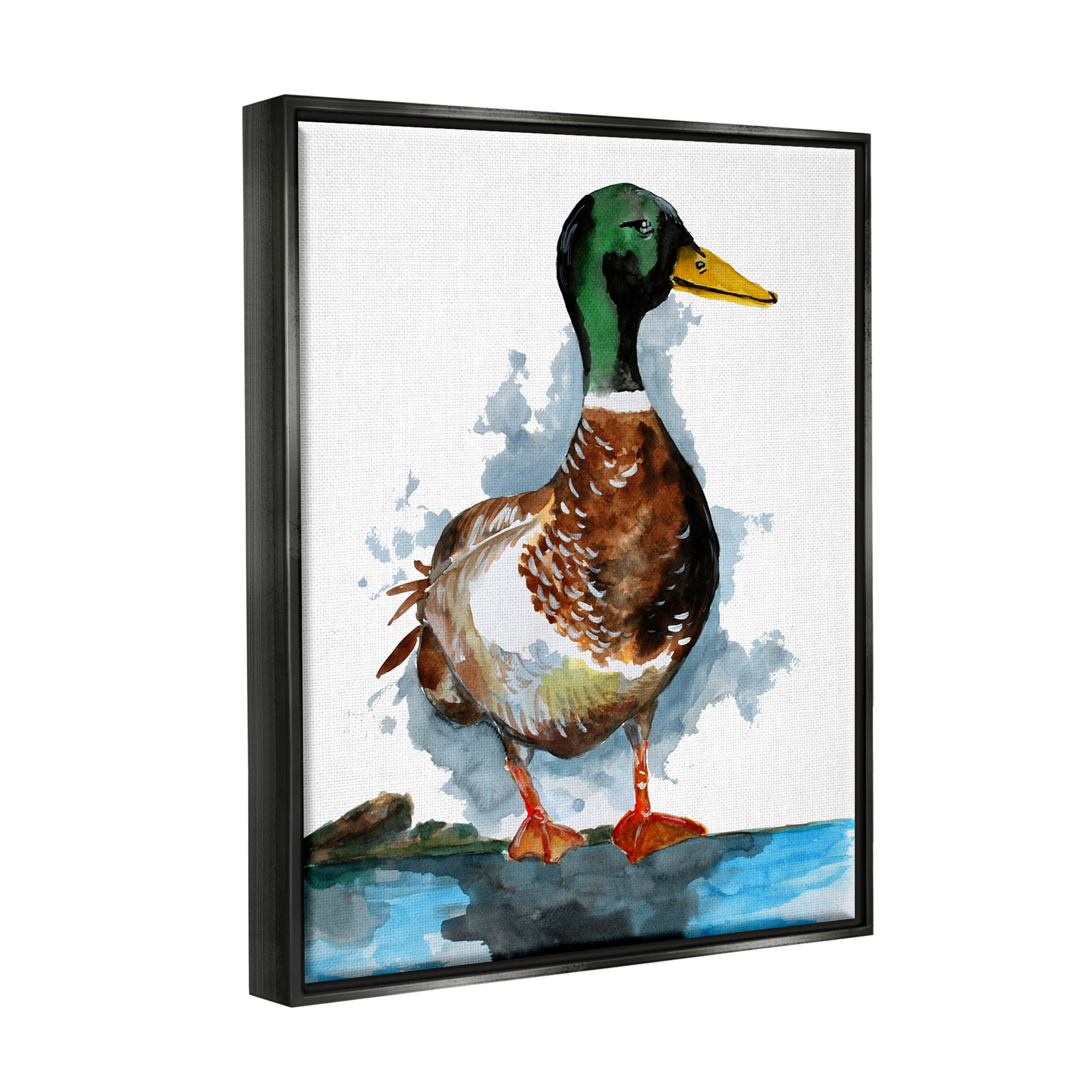 Mallard Duck Water's Edge Animals & Insects Graphic Art Jet Black Framed Art Print Wall Art