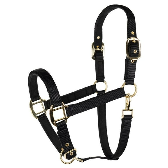 Schneiders Magnetic Therapy Calming Nylon Stable Halter for Horse | Black | Full Horse