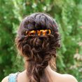 thumbnail image 2 of Pinces à Cheveux Léopard Couleur Assortie pour Femmes Durables en Alliage à Ressort Barrettes Ensemble de 2 Pcs, 2 of 8