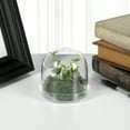 thumbnail image 2 of Plymor 3" x 3" Glass Display Dome Cloche (Clear Glass Tray Base), Pack of 2, 2 of 2