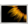 thumbnail image 1 of Sunflower Up Close - Lantern Press Photography (24x16 Giclee Art Print, Gallery Framed, Silver Wood), 1 of 1