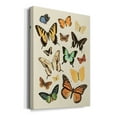 thumbnail image 2 of Collected Flutter I Premium Gallery Wrapped Canvas - Ready to Hang, 2 of 9