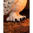 thumbnail image 4 of Funko POP! Films : Harry Potter – 10 Pouces Hedwig, 4 of 4