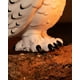 thumbnail image 4 of Pop Funko Movies: Harry Potter - 10 Hedwig (Target Exclusive) Funko -, 4 of 4