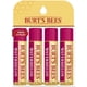 thumbnail image 1 of Bálsamo Labial Burt's Bees Sandía Hidratante Natural 4 Tubos, 1 of 10