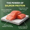 thumbnail image 6 of Nature's Protection Superior Care Dry Dog Food, Adult Small White Coat Dogs, Grain-Free Salmon, 22lb, 6 of 9