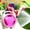 Hot Pink, variant on Wall mounted car wash gun hose reel set, collapsible hoses and high-pressure portable water guns integrated equipment, garden irrigation tools （1x Car Wash Gun Hoses Set）