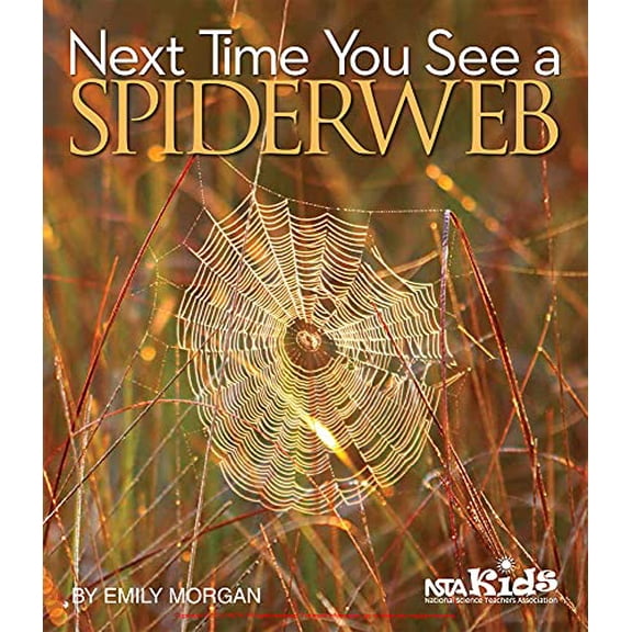 Pre-Owned Next Time You See a Spiderweb (Hardcover) 194131631X 9781941316313