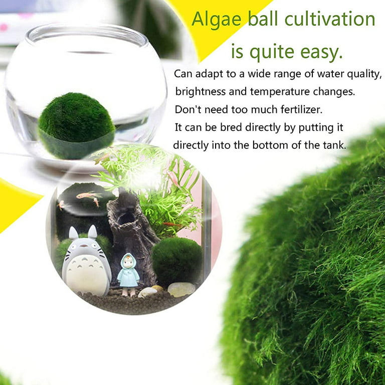 Plastic Moss Balls Decorative Semicircle Moss Balls For Fish Tank
