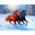 thumbnail image 1 of 30 × 40 Diamante Pintura Bordado Diamante Pintura Kit completo Diamante con cuentas Pasta Paisaje Accesorios Lienzo 5d Imagen Adulto Niño Rhinestone Lote Rompecabezas Dibujo Decoración de pared Dormitorio Otoño Paisaje Animal Coche Lindo 5D Snow Run Diamante Pintura (1 pieza) ER, 1 of 5