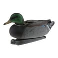 thumbnail image 2 of Adornos de flotantes de agua Gloria señuelo Pato Mallard, 2 of 9