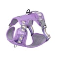 thumbnail image 1 of Pechera Arnés Con Correa Para Perro Talla XS Belug Morado, 1 of 5
