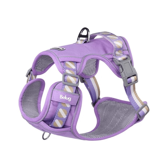 Pechera Arnés Con Correa Para Perro Talla XS Belug Morado