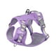 thumbnail image 1 of Pechera Arnés Con Correa Para Perro Talla XS Belug Morado, 1 of 5