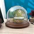 thumbnail image 2 of Plymor 8 inch x 6.5 inch Glass Display Dome Cloche (Dark Wood Base), 2 of 2