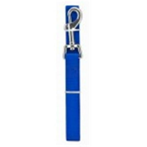 Products 0.75 x 6 in. Pet Expert Leash, Black & Blue