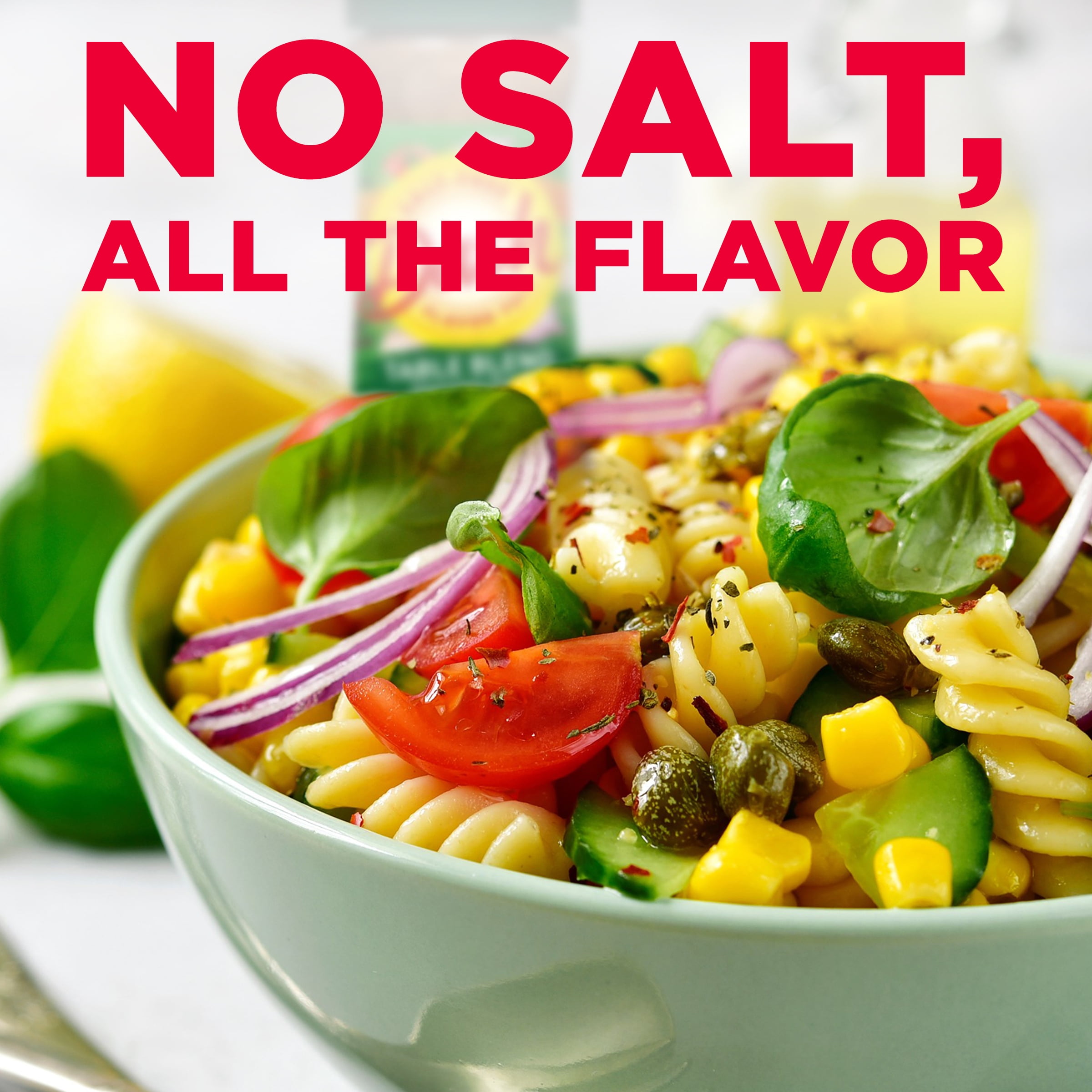  Dash Salt-Free Seasoning Blend, Garlic & Herb, 2.5 Ounce :  Everything Else