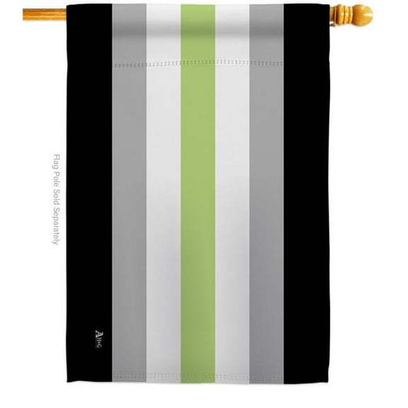 Americana Home & Garden H148001-BO Agender Pride Support 28 x 40 in. Double-Sided Decorative Horizontal House Flags for Decoration Banner Garden Yard Gift
