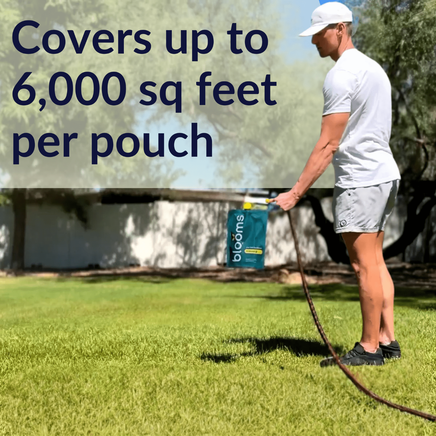 Harris Seeds - Blooms BioBoost+ Concentrated Liquid Lawn Fertilizer Covers Up to 6,000 Sq. Ft.