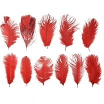 10 pcs Natural Ostrich Feathers Wedding Party Decoration Red 20-25cm