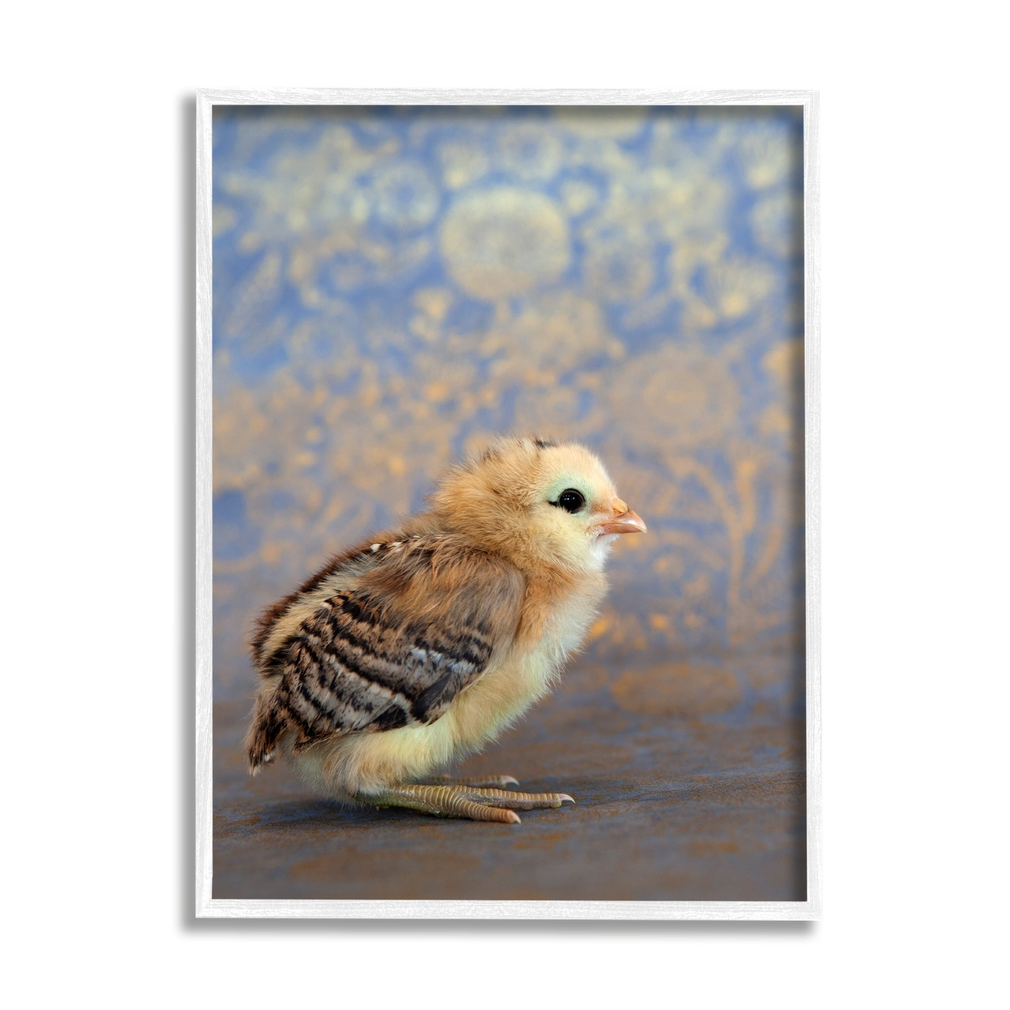 Stupell Industries Tiny Baby Bird Chick Patterned Botanical Backdrop Photograph White Framed Art Print Wall Art, Design by Tania Soderman