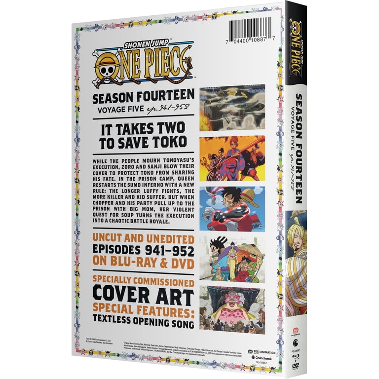 One Piece: Season 14 Voyage 5 - Walmart.com