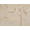 Cream, variant on Minerva Velvet Stretch Knit Fabric Rust - per yard