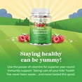 thumbnail image 4 of Natures Craft Kids Elderberry Gummies with Zinc and Vitamin C, Immune Support Supplement, 30 Count, 4 of 10