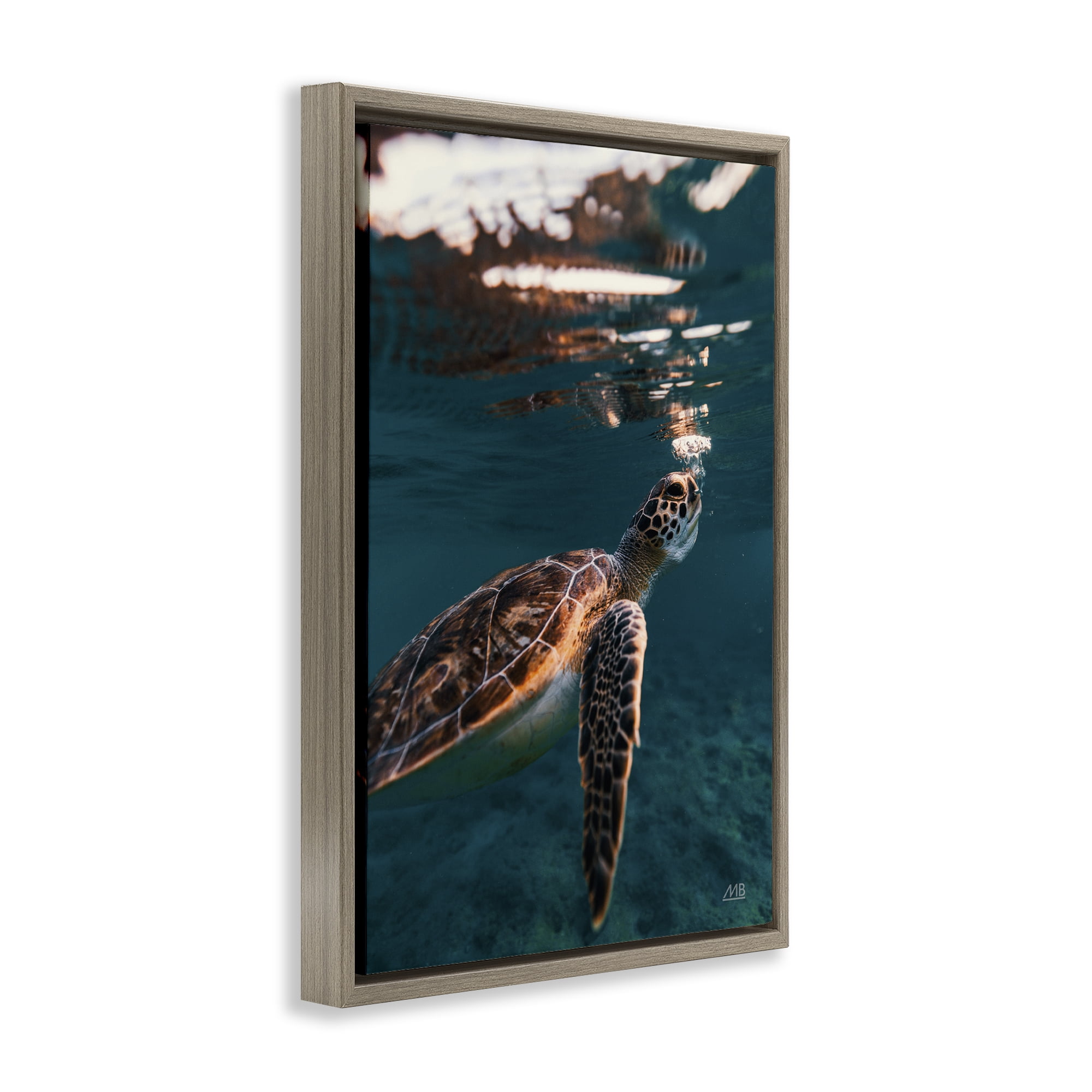 Stupell Industries Blowing Bubbles Turtle Animals Photography Brown Floater Framed Canvas Art Print Wall Art, 21 x 31