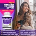 thumbnail image 6 of Toplux Immunity Boost Immune Support Supplement with Elderberry Vitamin C Zinc Echinacea 60 Capsules 2x Pack, 6 of 6