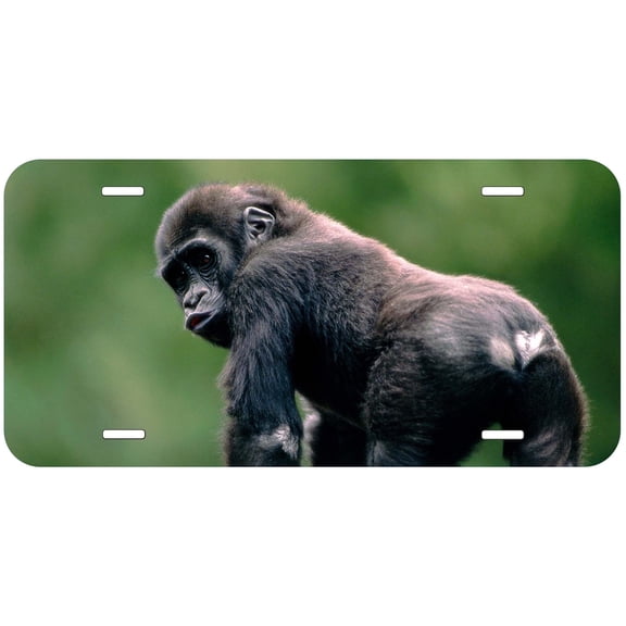 Monkey TAG17 Novelty Car Auto License Plate
