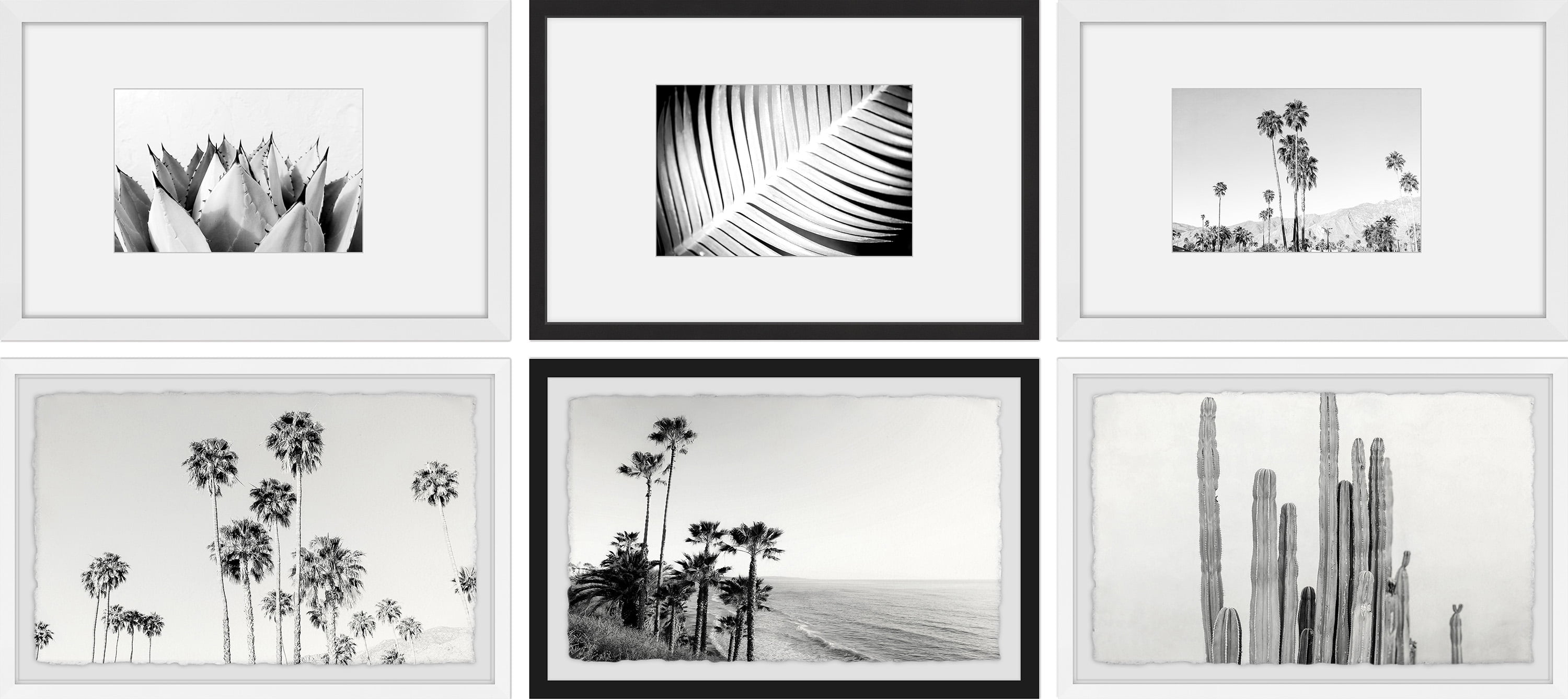 Black and White Summer Hexaptych