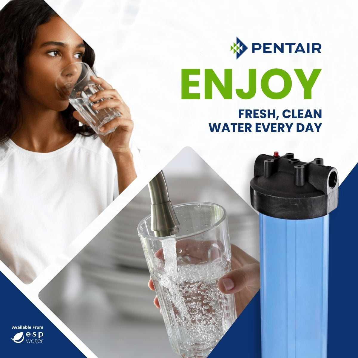 Pentair Pentek Big Blue 20" Whole House Water Filter Housing with Pressure Relief, 1" NPT Ports, 4.5" Cartridge, Model 150233, Blue/Black