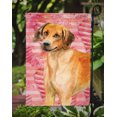thumbnail image 3 of Carolines Treasures BB9763GF Drapeau d'Amour Rhodésie Ridgeback - Taille du Jardin, 3 of 3