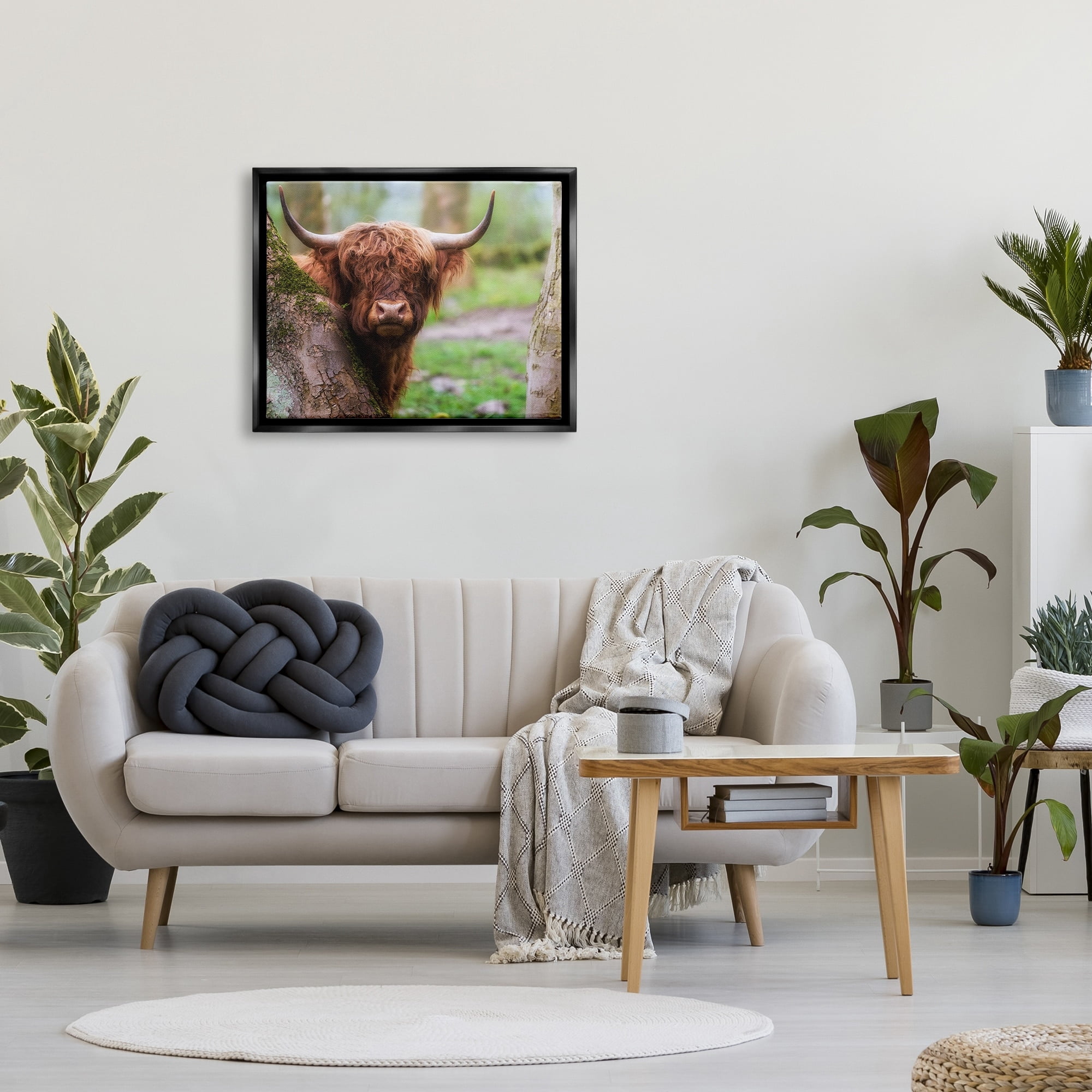 Stupell Industries Highland Cattle Peering Between Trees Lush Nature Scene Photograph Jet Black Floating Framed Canvas Print Wall Art, Design by James Dobson