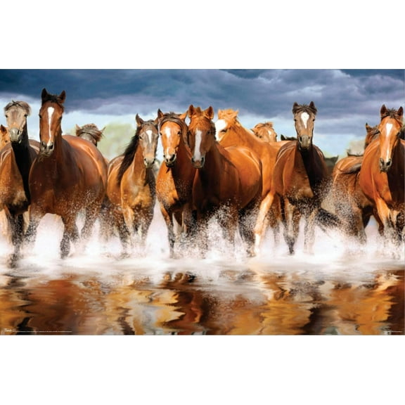 Horses Canvas Wall Poster, 14.725" x 22.375"