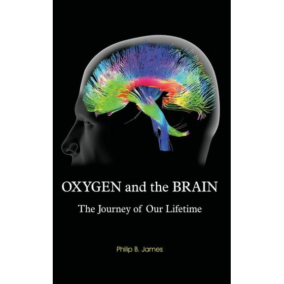 Oxygen and the Brain: The Journey of Our Lifetime (Hardcover)