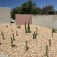 thumbnail image 6 of Landscape Rock & Pea Gravel, Decorative Garden Stones for Landscaping 3/8", 6 of 8