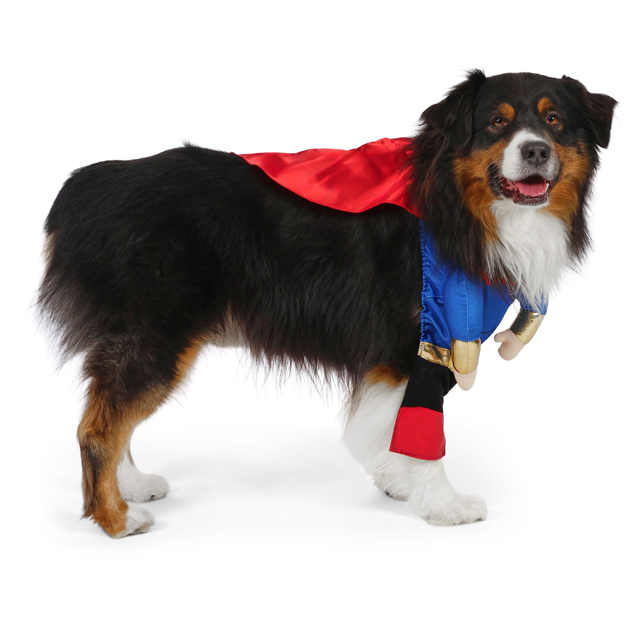 Vibrant Life Halloween Superhero Costume for Dogs, Multicolor, Large