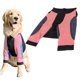 thumbnail image 1 of Camisa a Rayas de Manga Larga para Perros Diseño de Rayas Rojas y Blancas para Perros Grandes Camiseta Corta Portátil de Algodón Linda y Transpirable con Mangas Largas ANGGREK Otros, 1 of 8